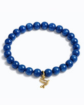 Kyanite - Love Dove